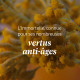 Immortelle Karité Sérum-en-Crème Jeunesse des Mains