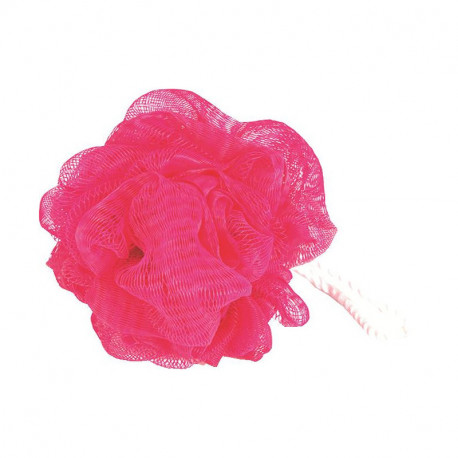 Fleur de Douche Fuchsia